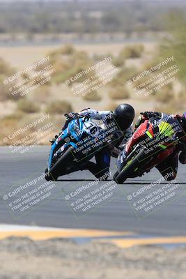 media/May-14-2023-SoCal Trackdays (Sun) [[024eb53b40]]/Turn 5 Tree of Life (1125am)/